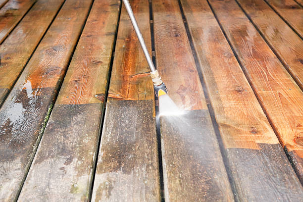 Best Driveway Pressure Washing  in Wyoming, MN